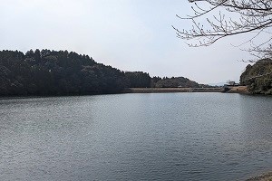 湯ノ口溜め池3月の写真